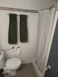 y baño con aseo y ducha con toallas verdes. en Alojamento Central - Funchal en Funchal