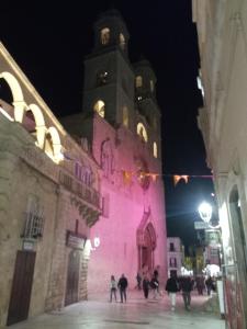 阿爾塔穆拉的住宿－Le camelie，一座粉红色的大建筑,晚上有钟楼