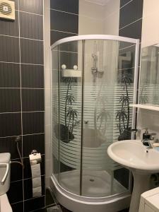 a bathroom with a shower and a sink at Downtown Apartment in Novi Sad