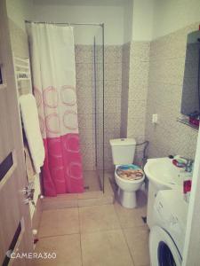 e bagno con doccia, servizi igienici e lavandino. di Studio 32 Bulevardul Oltenia a Craiova