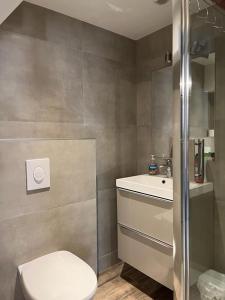 bagno con servizi igienici e lavandino di La Mariana - Old Town Cosy Apartments a Colmar