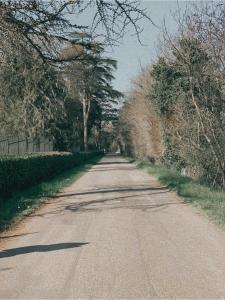 un camino vacío con árboles a ambos lados en L’Estable Du Pin, en Le Pin