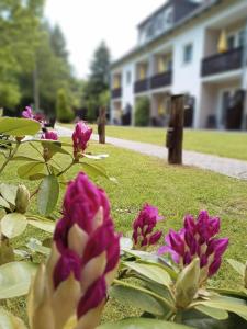a group of pink flowers in front of a building at Gästehaus Falkenhof in Westensee