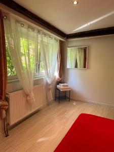 ein Wohnzimmer mit einem roten Teppich und einem Fenster in der Unterkunft La Mariana - Old Town Cosy Apartments in Colmar