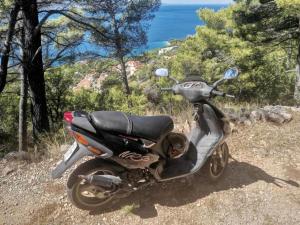 Príroda v okolí apartmánu