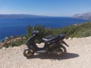 Príroda v okolí apartmánu