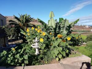 een tuin met gele bloemen en een vogelbad bij Tantulia Las Tapias Tenerife in Puerto de la Cruz