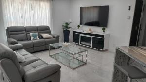 a living room with two couches and a television at CAPE CORAL CANALFRONT in Cape Coral