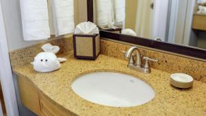 a bathroom counter with a sink and a bathroom mirror at Inn by the Sea, La Jolla in San Diego +29 photos