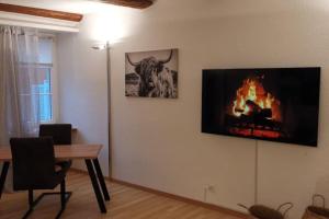 a living room with a fireplace with a television on the wall at La Suite in Chur