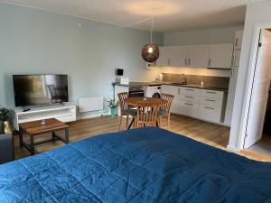 Kuchyň nebo kuchyňský kout v ubytování Jonstrupvejens Apartments Lejl B