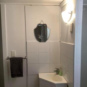 a bathroom with a sink and a mirror on the wall at Corella Creek Country Farm Stay in Nelia