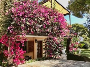 Сад в Charming Villa Saint-Jean-Cap-Ferrat