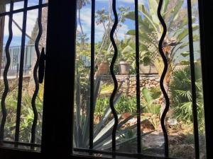 a window with a view of a garden seen through it at Charming Villa Saint-Jean-Cap-Ferrat in Saint-Jean-Cap-Ferrat