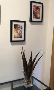 PolancoApartamentos Olga Cantabria的相册照片