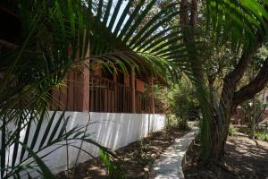 una palmera junto a una cerca blanca en Casa das Irmãs - Só Mulheres - Women Only en Vale do Capao