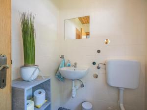 La salle de bains est pourvue d'un lavabo, de toilettes et d'un miroir. dans l'établissement Ferienhaus Rieder, à Hopfgarten im Brixental