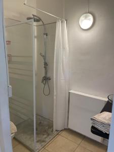 un bagno con doccia con porta in vetro di La Colline Business & Tourisme a Le Lamentin
