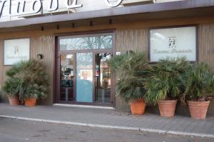 un front de magasin avec des plantes en pot devant lui dans l'établissement Hotel Nuova Grosseto, à Grosseto