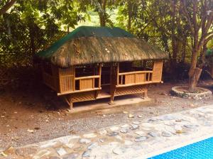 Cabaña pequeña con techo verde junto a una piscina en Rea's Bamboo Resort, 