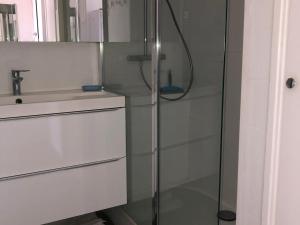 prysznic ze szklanymi drzwiami obok umywalki w obiekcie Appartement avec Balcon Proche des Thermes, Étang et Commerces - Climatisé, Animaux Admis - FR-1-503-134 w mieście Balaruc-les-Bains