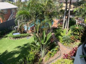 an aerial view of a garden with a palm tree at Aristocrat Apartments in Gold Coast