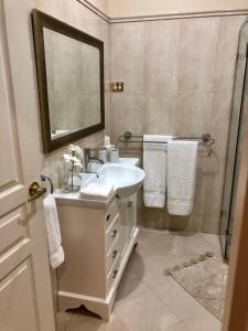 bagno con lavandino, specchio e doccia di Hillview Cottage 