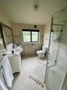 bagno con doccia, lavandino e servizi igienici di Hillview Cottage 