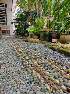 a path of rocks and plants in a garden at Hidden Homestay in Marang