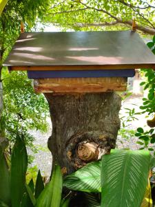 a bird house on the side of a tree at Hidden Homestay in Marang