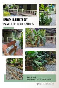 a collage of photos with a bench in a garden at Hidden Homestay in Marang