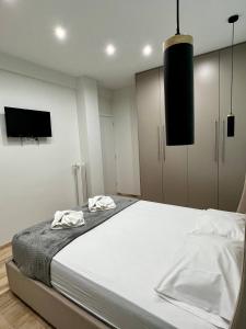 um quarto com uma cama grande e uma televisão na parede em ALEX Suite with 2 bedrooms vipgreece em Atenas