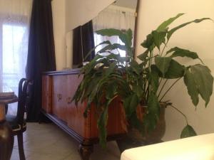 Ảnh trong thư viện ảnh của Via Roma suite ở Ortona