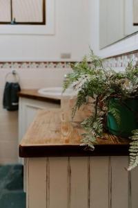 a wooden counter with plants on it in a kitchen at The Agave in Currarong