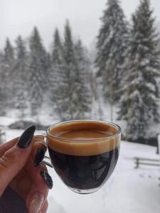 une personne tenant une tasse de café devant une neige dans l'établissement Zatishok Bilya Richky, à Pilipets
