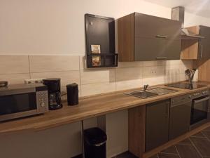 a kitchen with a counter with a microwave and a sink at Gästewohnung 5 in Oschersleben