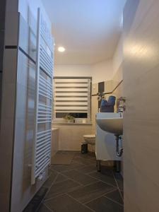een badkamer met een wastafel en een toilet bij Gästewohnung 5 in Oschersleben