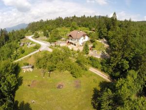 Příroda nedaleko bed and breakfast