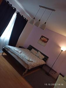 sypialnia z łóżkiem, lampką i oknem w obiekcie Ochota Forest Guest House w Warszawie