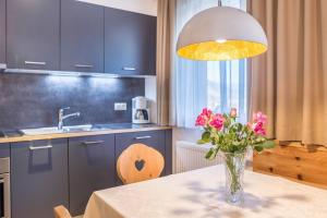 Kuchyň nebo kuchyňský kout v ubytování Superior Apartments Marialisa Rose