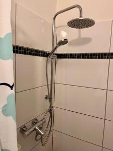 a shower with a shower head in a bathroom at Arnie Apartman in Arnoldstein