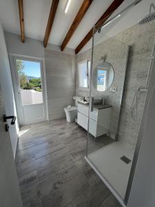 a bathroom with a shower and a sink and a toilet at Montenegro - BTB in Denia
