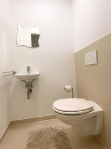 La salle de bains est pourvue de toilettes et d'un lavabo. dans l'établissement Near Lake Spacious & Furnished Beautiful Apartment, à Vienne
