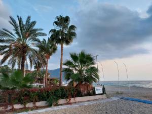 a beach with palm trees and the ocean at Larsens Suit Hotel in Alanya