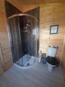 a wooden bathroom with a shower and a toilet at The Hut B & B in Mochdre