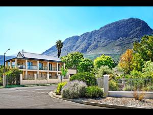 a house with a palm tree in front of a mountain at Small Wonder in Franschhoek