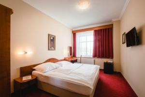 Televisi dan/atau pusat hiburan di Wellness Hotel Lužan