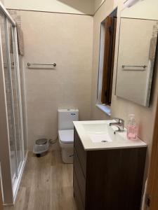 a bathroom with a sink and a toilet at VILLA BERENGUELA in Boca de Huérgano