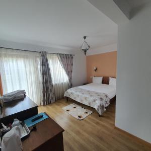 a hotel room with a bed and a window at Casa Sofia in Bălţăteşti