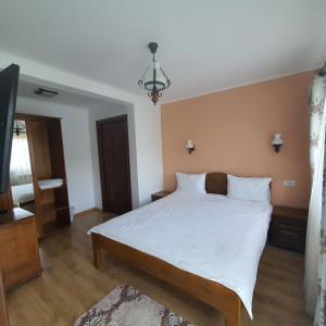 BălţăteştiにあるCasa Sofiaのギャラリーの写真